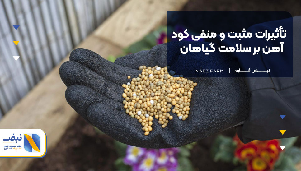 تأثیرات مثبت و منفی کود آهن بر سلامت گیاهان