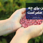 کود آهن برای چه گیاهانی مضر است