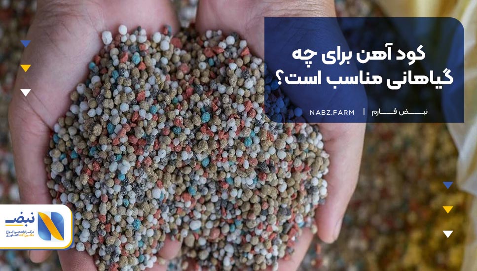 کود آهن برای چه گیاهانی مناسب است؟