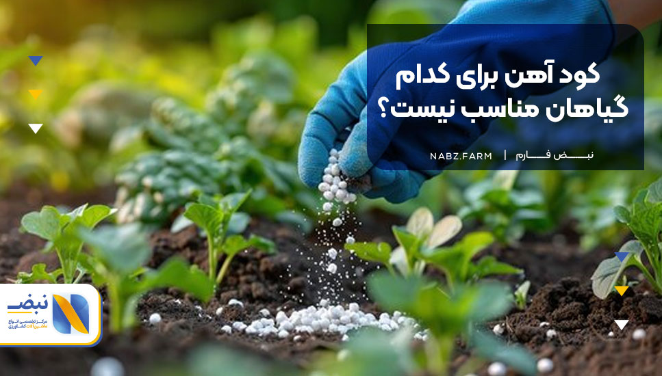 کود آهن برای کدام گیاهان مناسب نیست؟