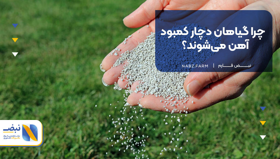 چرا گیاهان دچار کمبود آهن می‌شوند؟